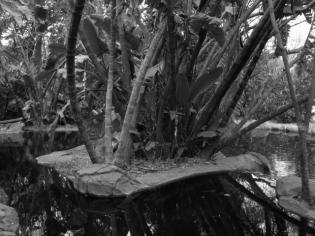 Robyn's island for Nina
